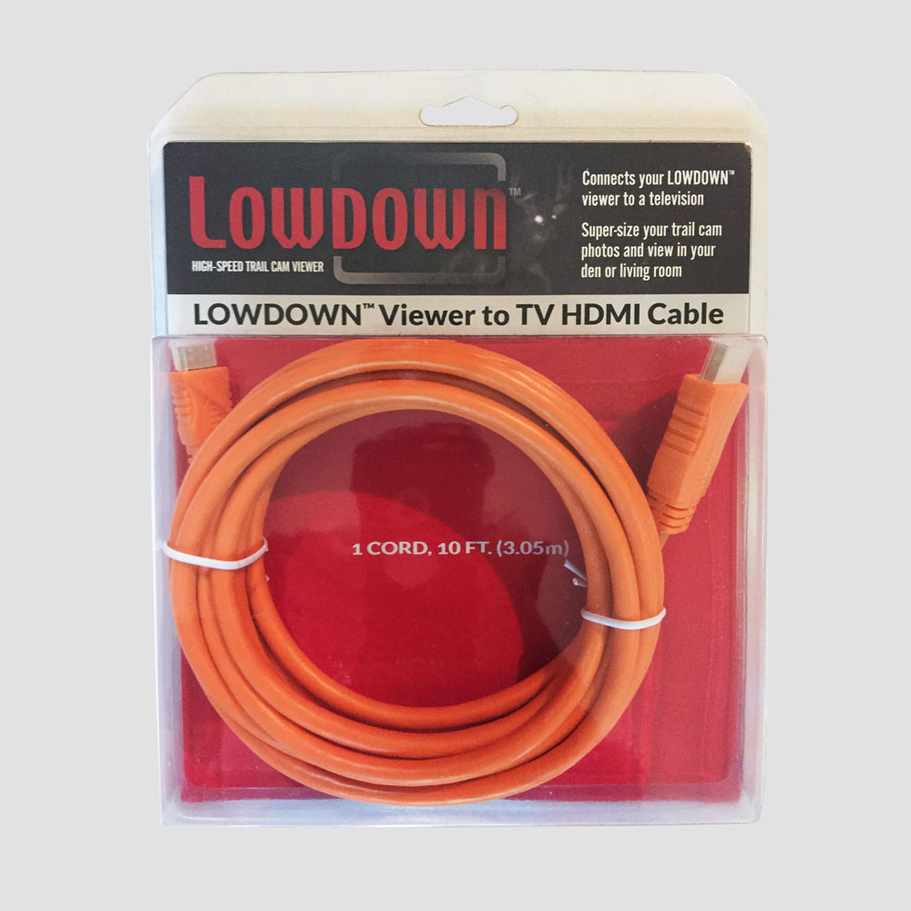 HDMI Cable (10ft)